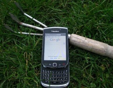 The Beginning Farmer: Connection As Urban Advantage | MOTHER EARTH NEWS Image